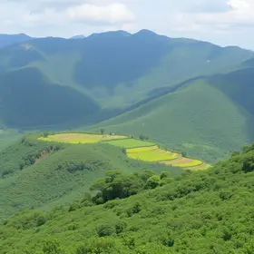capacitação em gestão ambiental