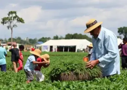 AgroFestival