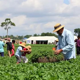 AgroFestival