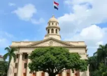 Danos à arborização pública