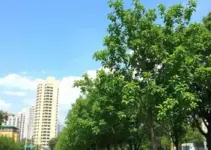 Avenida Beira Rio
