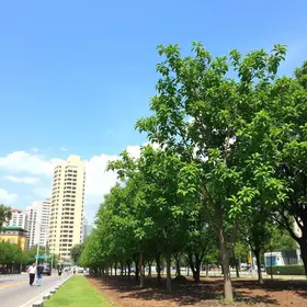 Avenida Beira Rio