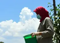 Prefeitura de Cuiabá muda rotina de agentes de saúde devido ao calor extremo