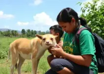 conscientização sobre proteção animal