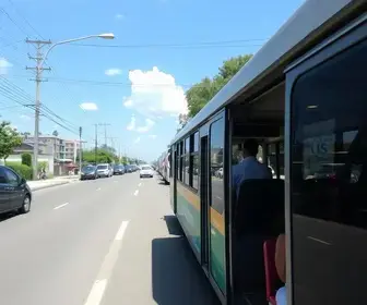transporte gratuito