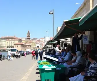 regras sanitárias Mercado do Porto