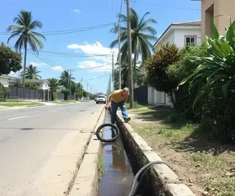 limpeza de bocas de lobo